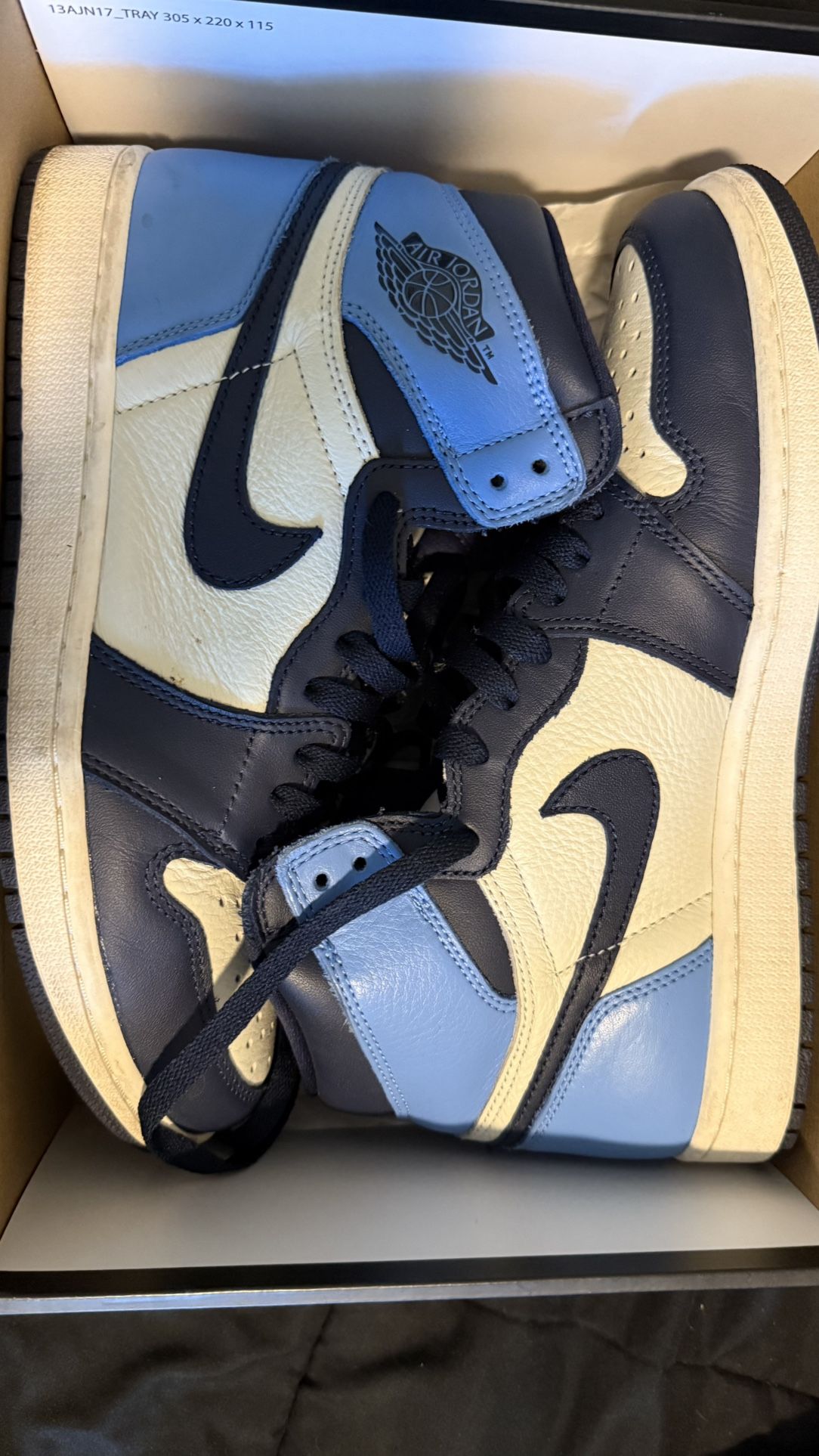 Jordan 1 Obsidian 