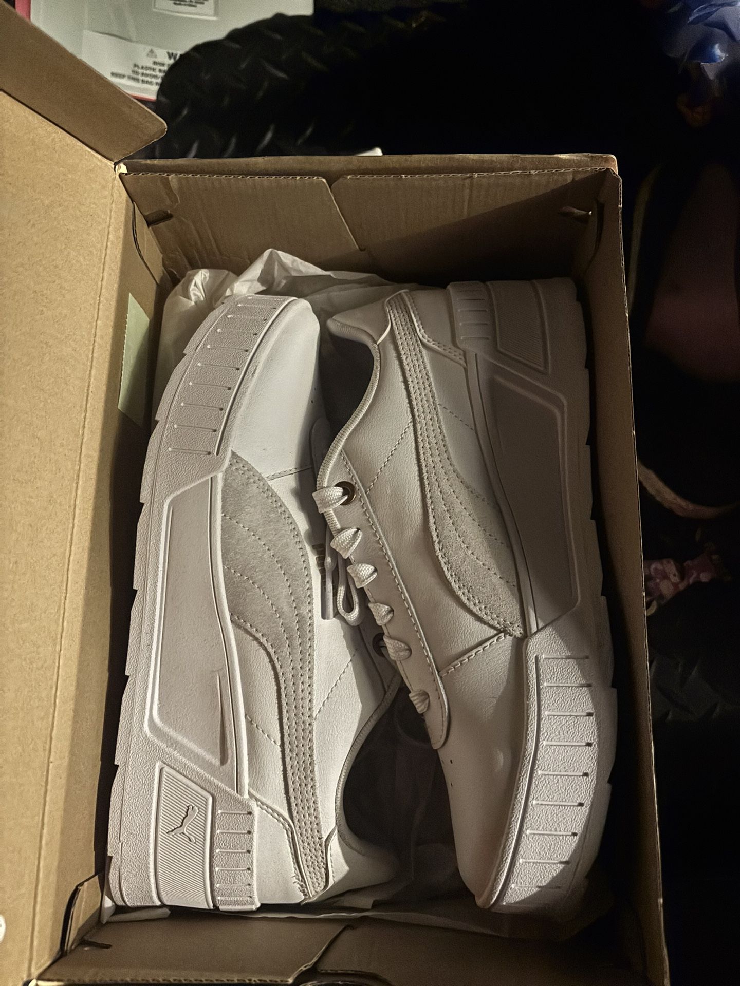 Pumas