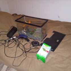 15 Gallon fish tank