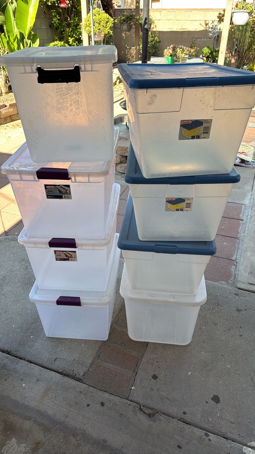 Sterilite Storage Containers