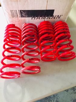 Lowering Spring