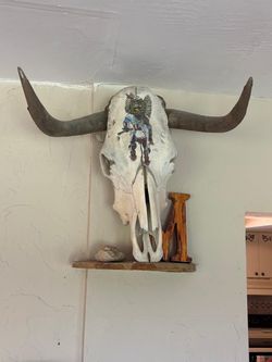 22” long Bull  skeleton head  The image shows a hand-painted depiction of a Native American