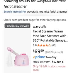 Wavytalk Hot Mist Steamer 