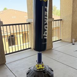 Stand alone punching bag