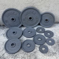 Full Set of Weight Plates (236.5lbs)