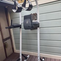 BodyVision Ab And Pull Up Cage