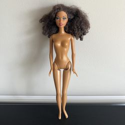 Mattel Barbie Diaries Tia Doll 2005 African American