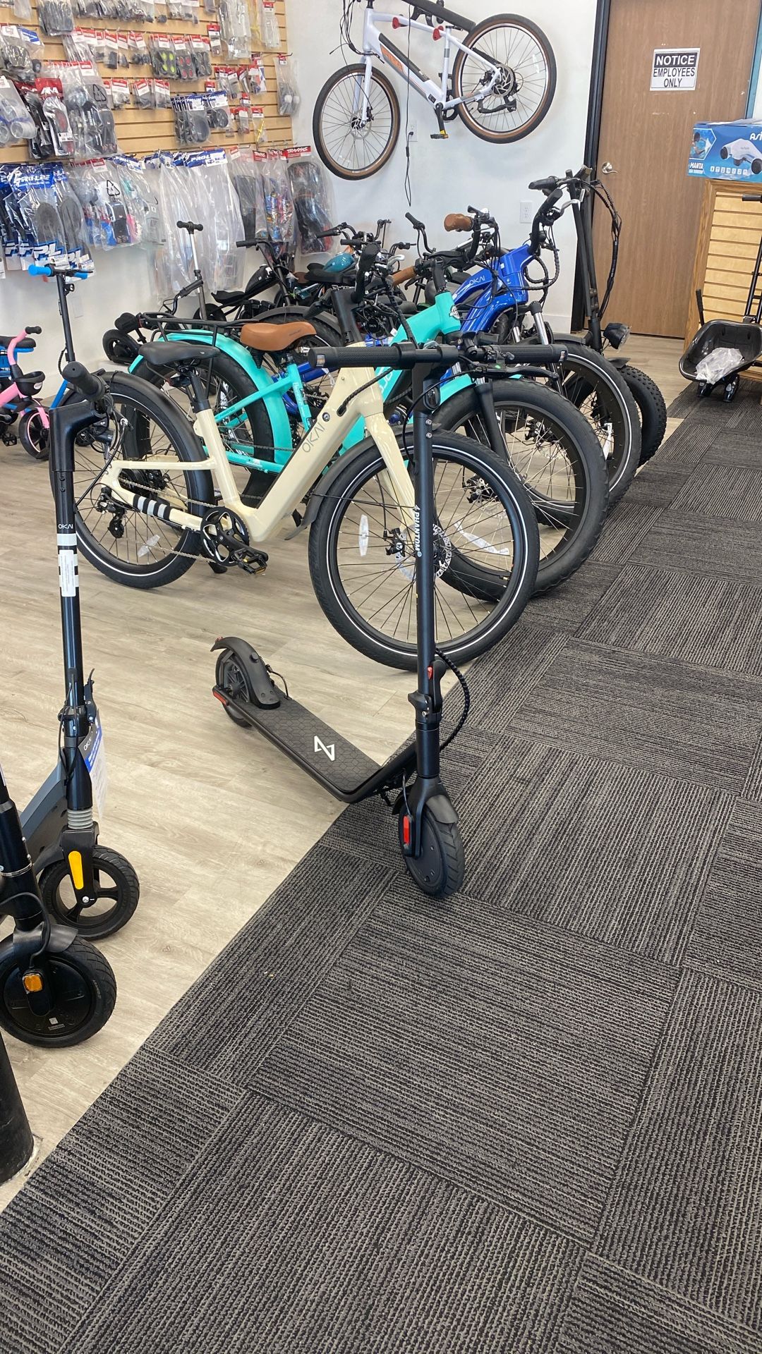 Electric Scooter 