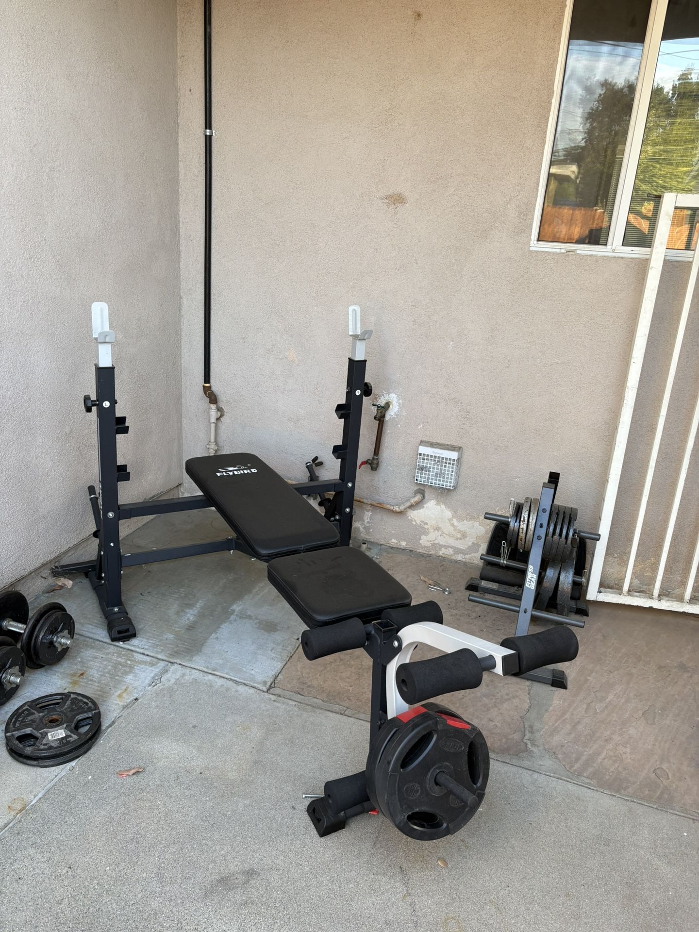 Workout Bench