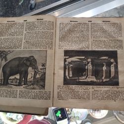 Antique German Dictionary Book 1700' 1800's ?