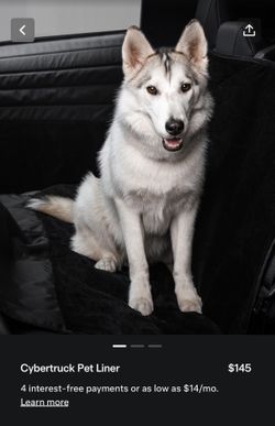 Cybertruck Pet Liner