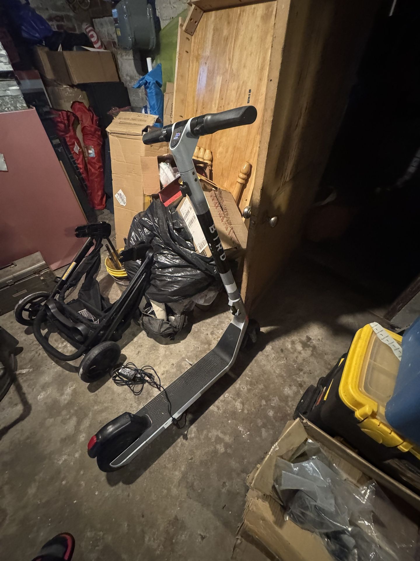 Bird Scooter