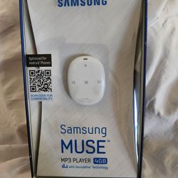 Samsung Mp3 Pebble Player