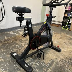 SUNNY Original Magnetic Exercise Bike