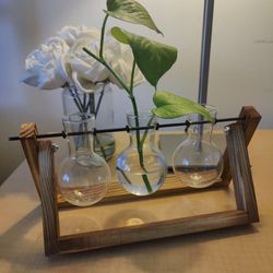 3 Glass Plant Vase With Wood Stand Holder