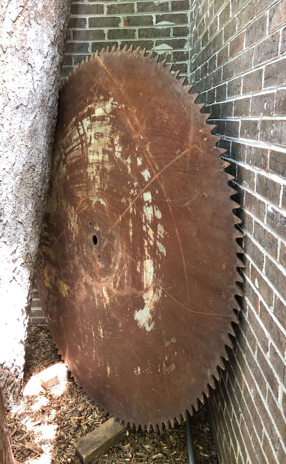 Huge 60” or 5’ in diameter Sawmill Blade