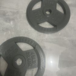 Cash only no Zelle Brand new in box pair of 45lb Olympic weights plates total 90lb more same style if needed added price  check my page