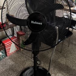 Fan, Ventilador