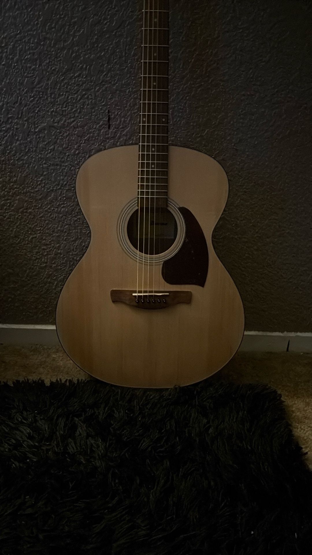 Ibanez PC50 Acoustic Guitar