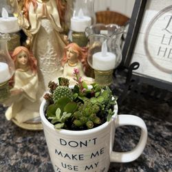 Succulents-in-Repurposed-Teacher-Cup