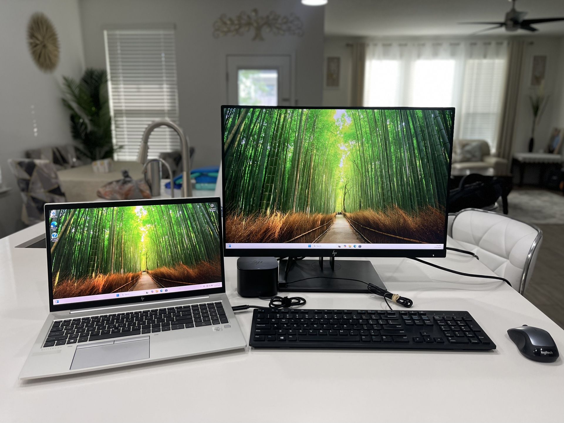 Laptop + Docking Station + Monitor + Mouse