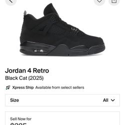 Jordan 4 Black Cat 
