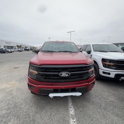 2025 F150 XLT