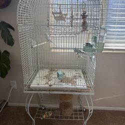 Bird Cages, Supplies Parakeets