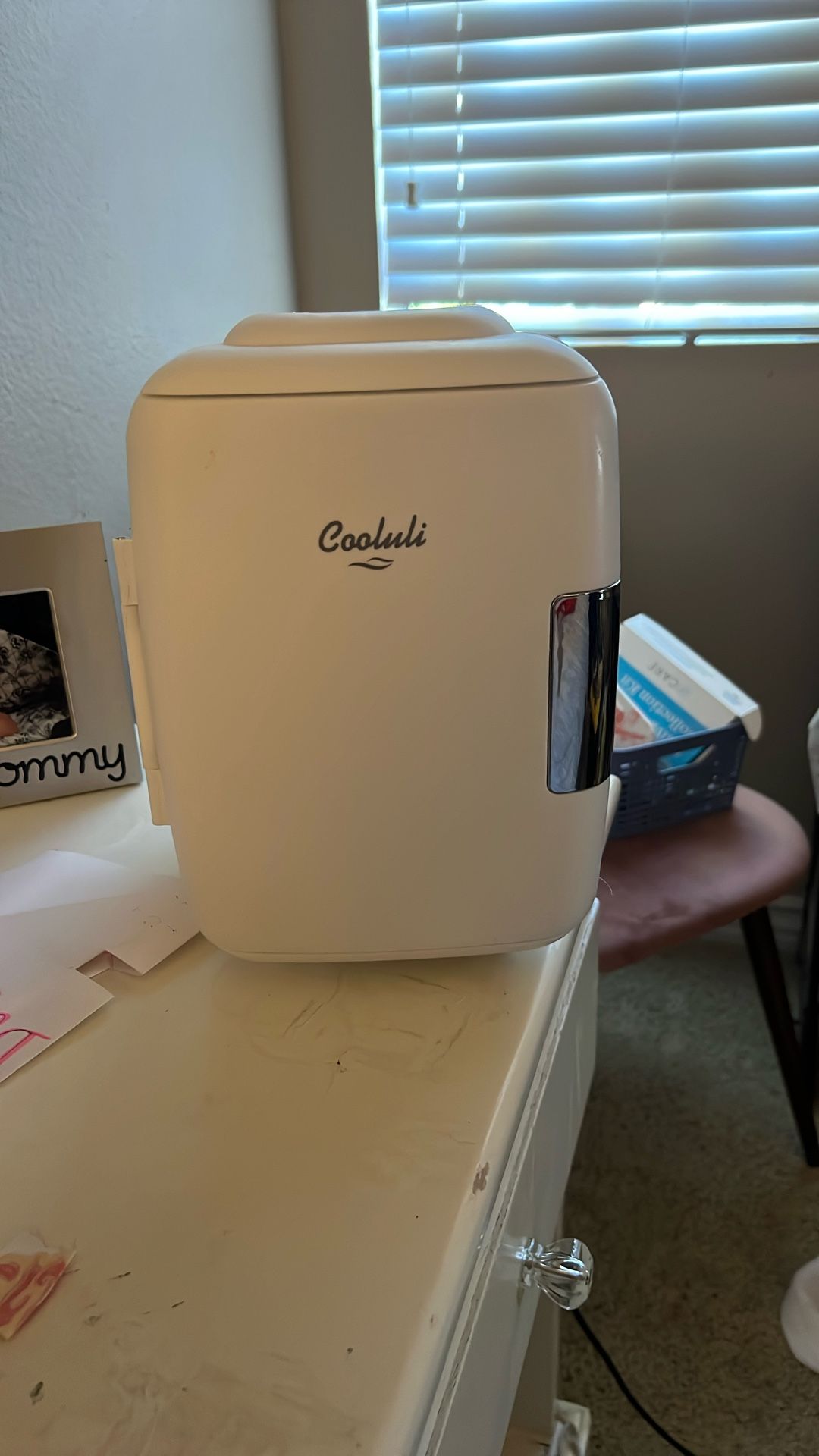 Mini Fridge