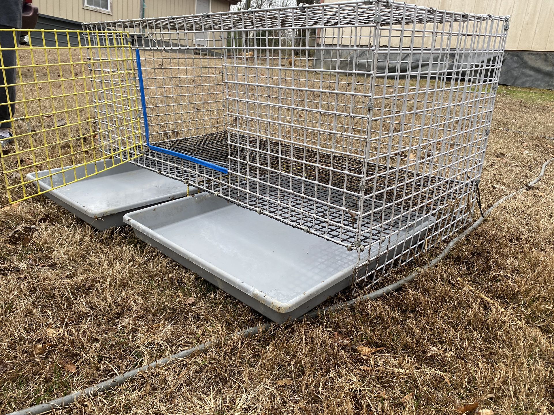Bunny Cage