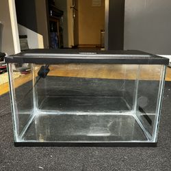 5 Gallon Fish Tank