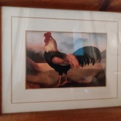 Rooster Picture With Frame