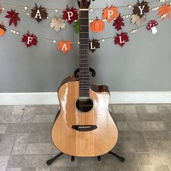 Breedlove Solo Dread Electric/Acoustic Guitar 