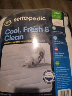 Queen mattress Protector