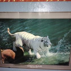 Bengai white tiger poster