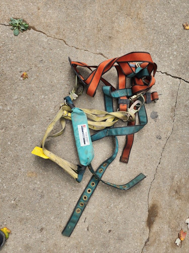 climbing harness 