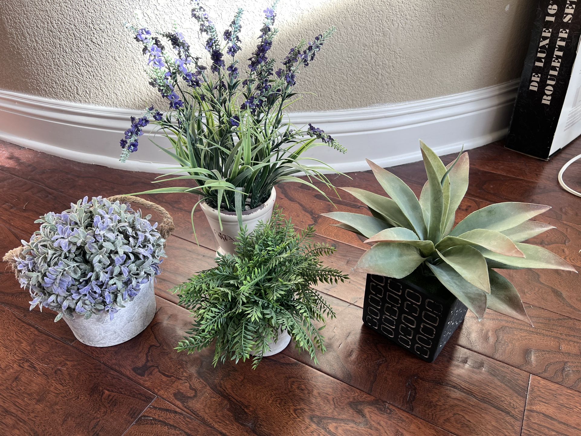 Decorative Plants