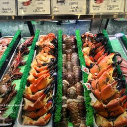 Florida Stone Crabs For Sale Only $49.99