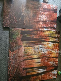3 piece canvas