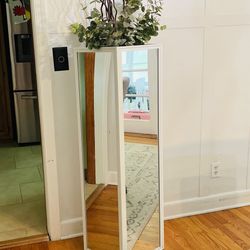 Mirror Plant Box  Home Decor