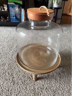 Terrarium glass (10”x 10”x 12”) with stand (new & unused)