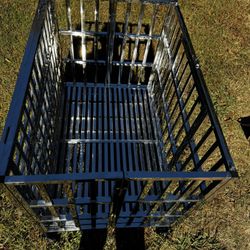 Dog kennel 