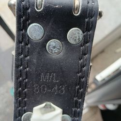 Lifting Belt