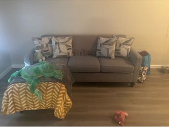 Light gray couch (for smaller living area)