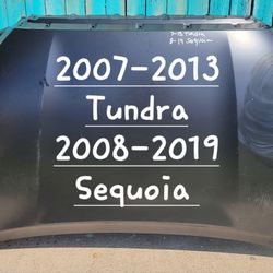 2007-2013 Toyota Tundra 2008-2019 Sequoia 