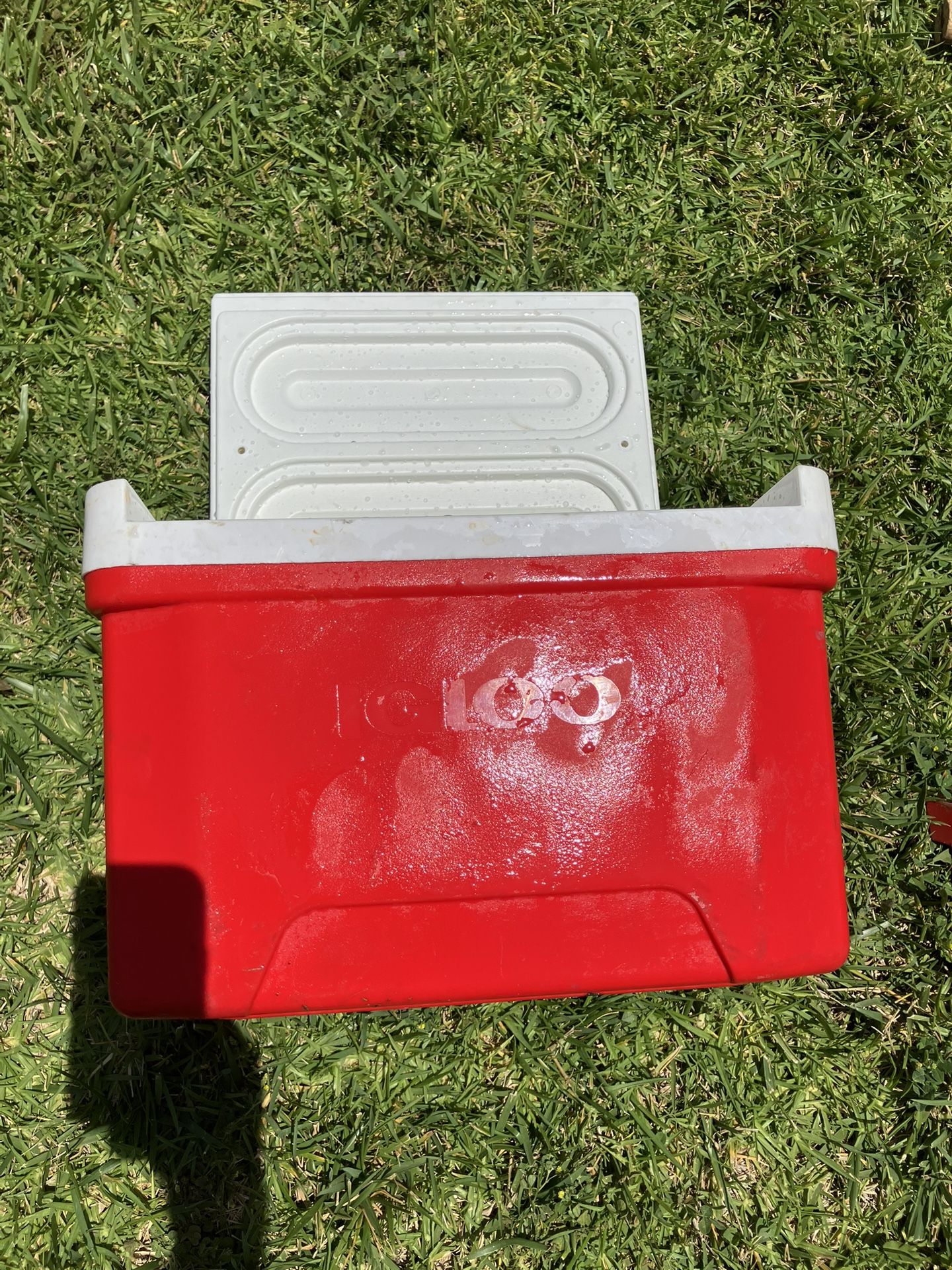 Small igloo Good Condition 