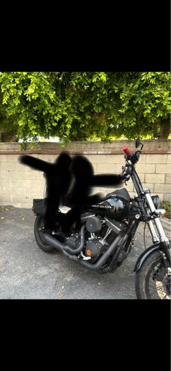 2014 Harley Dyna Street Bob 103