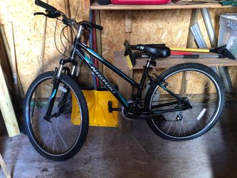 Nishiki mountain bike