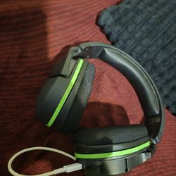 Turtle Beaches 