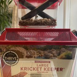 Free - Cricket Keepers - 2 Sizes